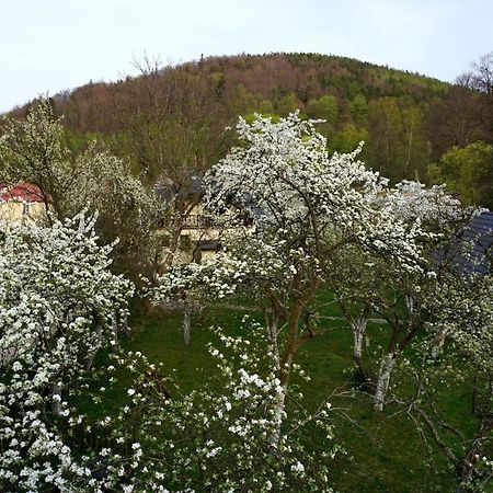 Gorski Sad - U Bazyla Piechowice  Dış mekan fotoğraf