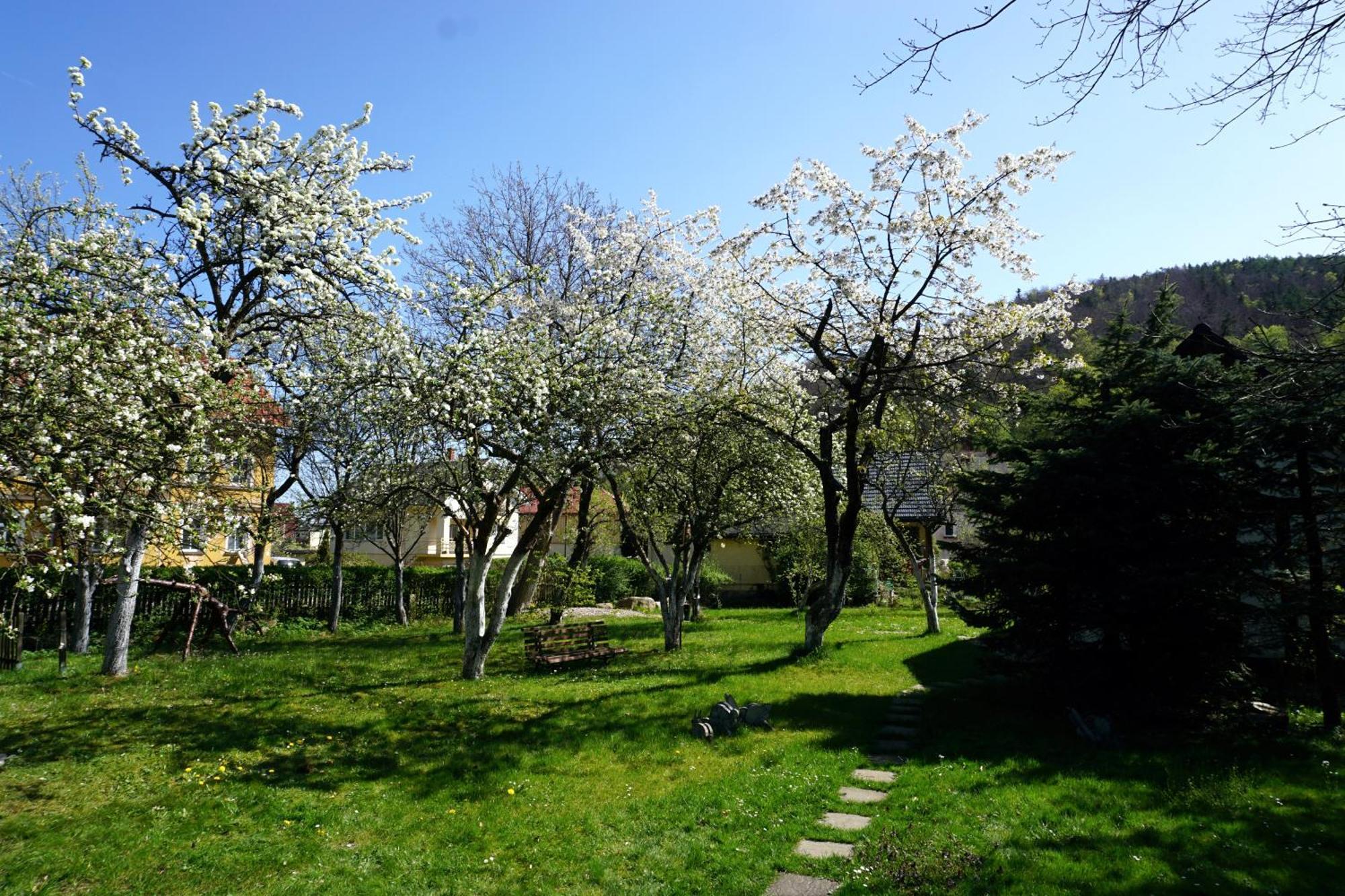 Gorski Sad - U Bazyla Piechowice  Dış mekan fotoğraf